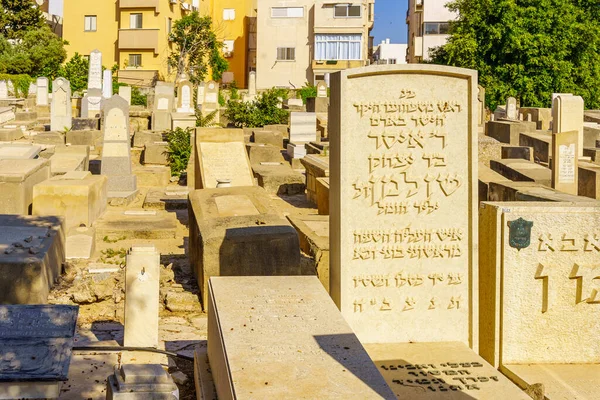 Tel Aviv Israel May 2022 View Historic Trumpeldor Cemetery Various — Stock Photo, Image