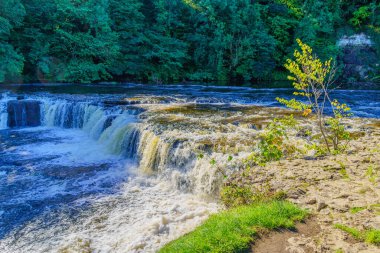 Aysgarth Falls, Yorkshire Dales Ulusal Parkı, Kuzey Yorkshire, İngiltere