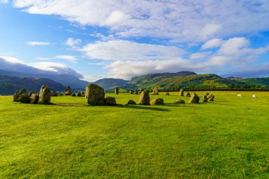 Koyunlu Castlerigg taş çemberinin sabah manzarası, Keswick yakınlarında, Cumbria, İngiltere, İngiltere