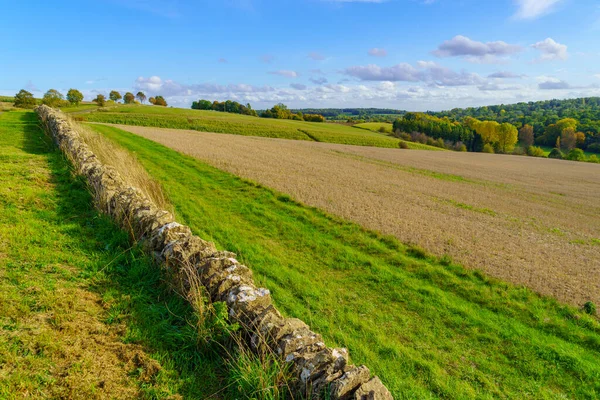 丘やフィールドの田園風景のビュー コッツウォルズ地域 イングランド — ストック写真