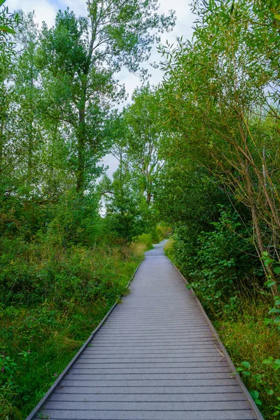Widok Promenady Wśród Drzew Pobliżu Keswick Lake District Kumbria Anglia — Zdjęcie stockowe