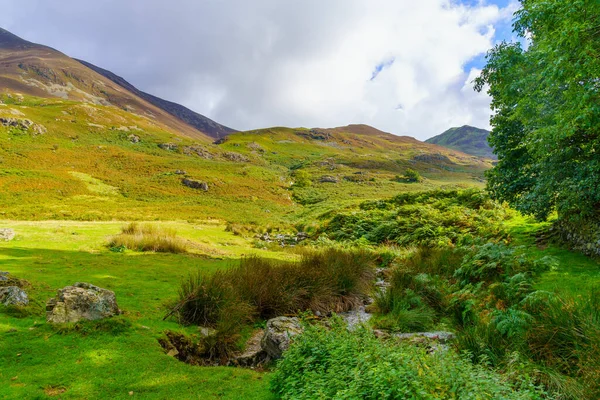 Lake District, Cumbria, İngiltere 'deki dağ manzarası