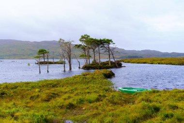 İskoçya, İngiltere 'deki Assynt Gölü manzarası