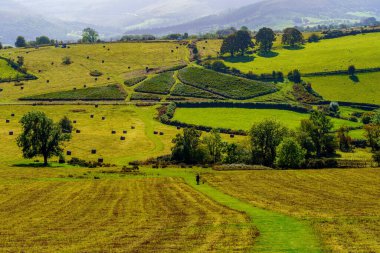 Brecon Beacons Ulusal Parkı, Galler 'in güneyi, İngiltere' deki saman yığını ve kırsal alan manzarası