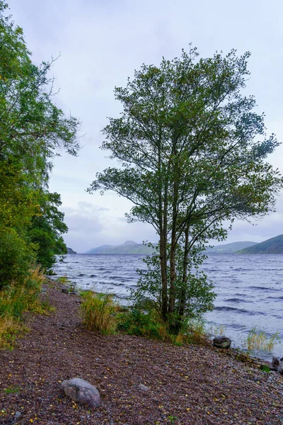 Widok Drzewa Nad Brzegiem Loch Ness Highlands Szkocja Wielka Brytania — Zdjęcie stockowe
