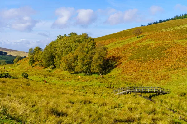 Utsikt Över Landsbygdslandskapet Kairngorms Nationalpark Skottland Storbritannien — Stockfoto