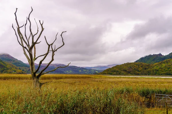 Vista Las Orillas Del Estuario Mawddach Parque Nacional Snowdonia Norte — Foto de Stock