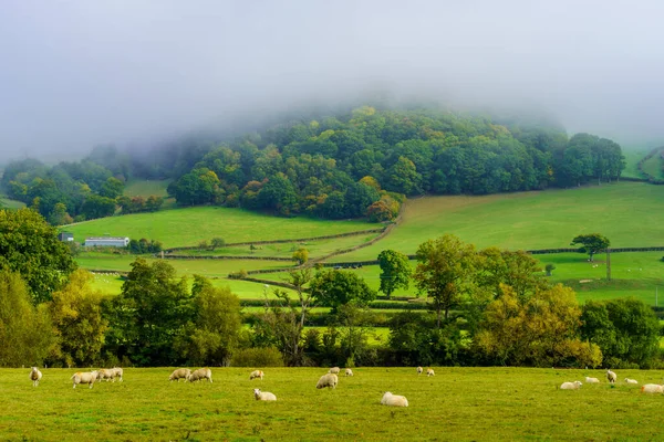 ウェールズ イギリスの田舎 霧の眺め — ストック写真