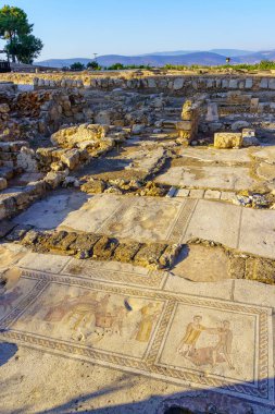 View of a Roman era mosaic floor of a public house, and the site ruins, in Tzipori National Park, Northern Israel