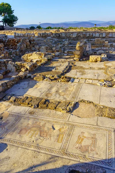 View Roman Era Mosaic Floor Public House Site Ruins Tzipori — Fotografia de Stock