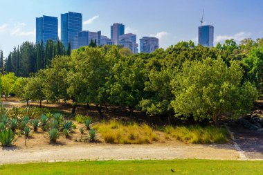 Tel Aviv, İsrail - 17 Haziran 2022: Arka plandaki çimenlerin, ağaçların ve ofis binalarının görüntüsü, Yarkon Park, Tel-Aviv, İsrail