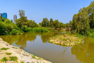 Yarkon Nehri manzarası, ve ağaçlar, Yarkon Park, Tel-Aviv, İsrail