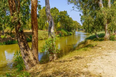 Yarkon Nehri manzarası, ve ağaçlar, Yarkon Park, Tel-Aviv, İsrail