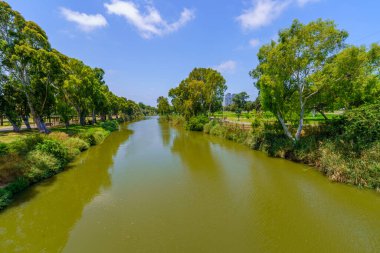 Yarkon Nehri manzarası, ve ağaçlar, Yarkon Park, Tel-Aviv, İsrail