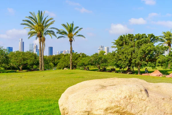 Tel Aviv Israël Juin 2022 Vue Des Pelouses Des Arbres — Photo