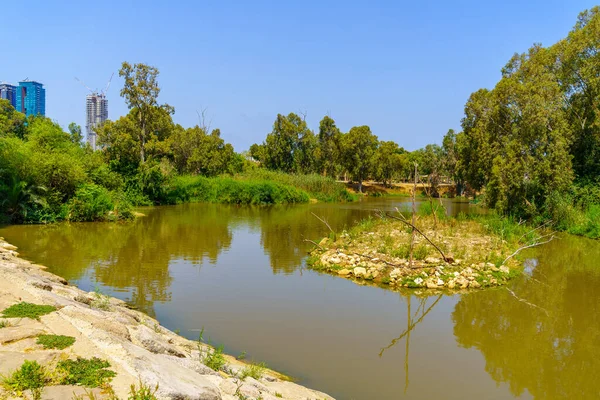 Yarkon Nehri Manzarası Ağaçlar Yarkon Park Tel Aviv Srail — Stok fotoğraf