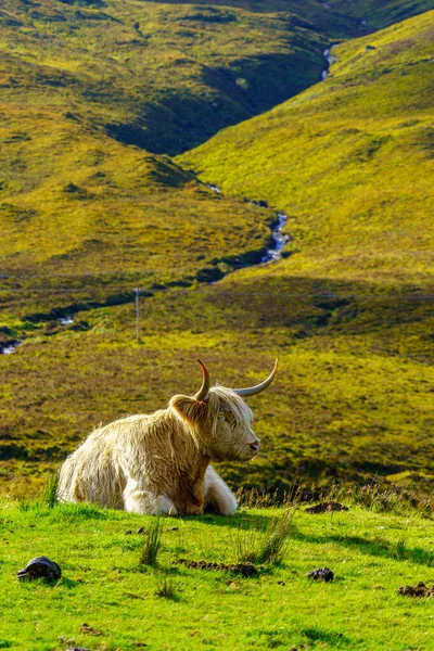 Skye Adası Hebrides Skoçya Ngiltere Deki Skoçya Neği Manzarası — Stok fotoğraf