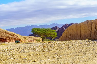 Shkhoret Kanyonu 'ndaki çöl manzarası, Büyük Eilat Doğa Rezervi, Güney İsrail
