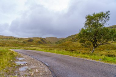 İskoçya 'nın kuzeybatısındaki kıyı yolu manzarası.