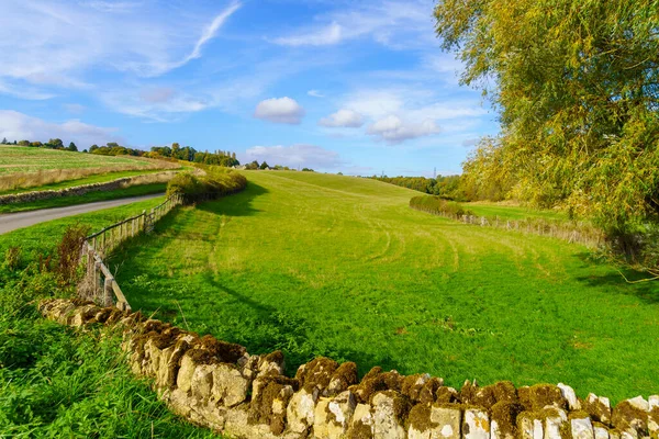 丘やフィールドの田園風景のビュー コッツウォルズ地域 イングランド — ストック写真