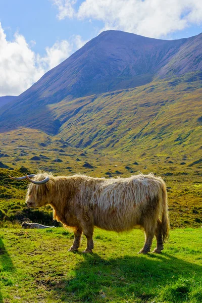 Skye Adası Hebrides Skoçya Ngiltere Deki Skoçya Neği Manzarası — Stok fotoğraf