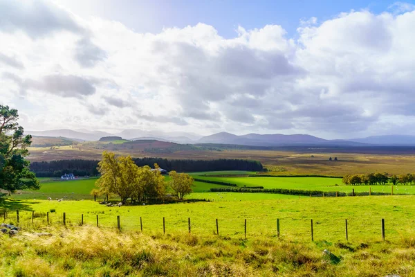イギリス スコットランドのケアゴルムス国立公園の田園風景の眺め — ストック写真