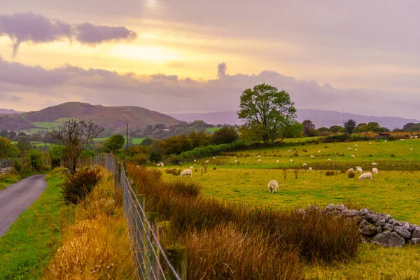 Vista Pôr Sol Campo Parque Nacional Brecon Beacons Sul Gales — Fotografia de Stock
