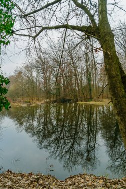 View of the Lambro River, and trees in the Monza Park, on a clear winter day. Monza, Lombardy, Northern Italy