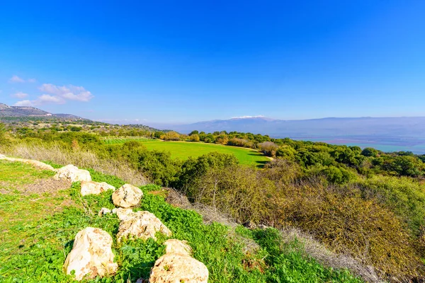 上加利利风景景观 背景是呼拉谷 约旦河上游 和黑门山 以色列北部 — 图库照片