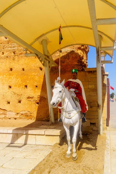 Рабат Марокко Березня 2023 Року Вигляд Охоронця Коні Мавзолей Мохаммеда — стокове фото