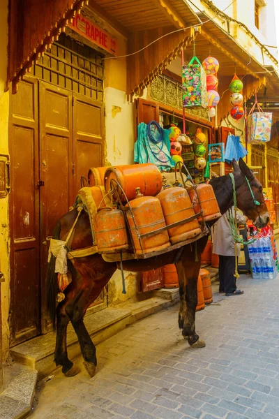 Fes Morocco March 2023 View Alley Donkey Loaded Cargo Old — Stock Photo, Image