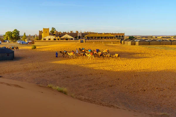 Merzouga Morocco April 2023 Туристична Сцена Готелями Караваном Верблюдів Обробниками — стокове фото