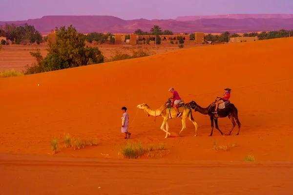 摩洛哥Merzouga 2023年4月1日 日落时分 在摩洛哥撒哈拉沙漠的Merzouga沙丘上 有一个骆驼商队 车上有车夫和游客 — 图库照片