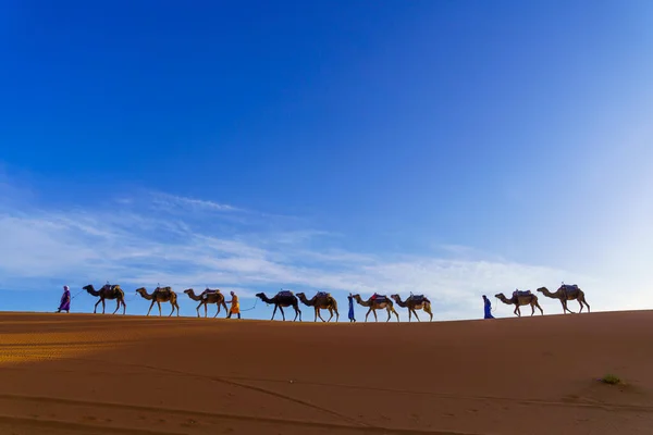 モロッコのメルズーガ 2023年4月2日 ハンドラを持つラクダキャラバンのビューは メルズーガ サハラ砂漠 モロッコの砂丘で — ストック写真