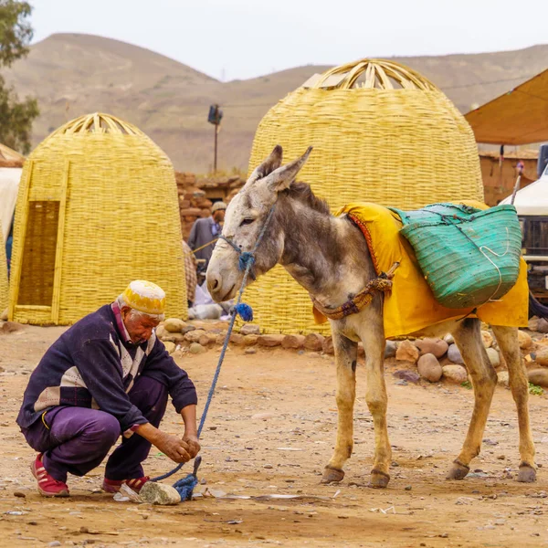 모로코의 Ait Ourir 2023 모로코의 마을에서 당나귀를 사람들이 — 스톡 사진
