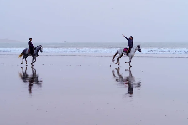 モロッコのエサオイラ 2023年4月6日 青い時間 日没後 エサオイラ モガドール モロッコのビーチで疾走する馬やライダーのビュー — ストック写真