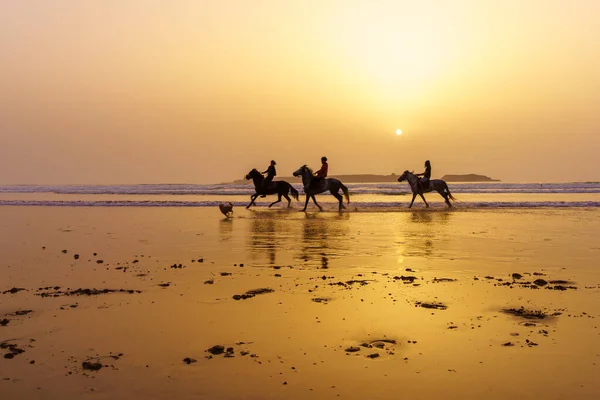 モロッコのエサオイラ 2023年4月7日 モロッコのエサオイラ Mogoador のビーチで馬やライダーのシルエットで夕日の景色 — ストック写真
