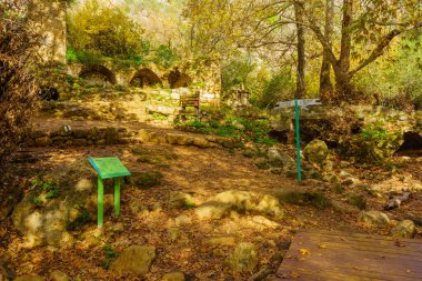 Meron, İsrail - 15 Aralık 2022: Amud Akıntısı Doğa Koruma Alanı, Yukarı Celile, Kuzey İsrail 'deki kayalar, ağaçlar, su akıntısı, dökülen yapraklar ve çeşitli işaretlerin görüntüsü