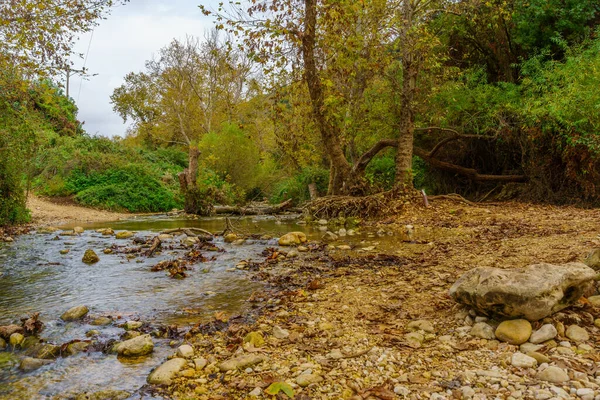 Sonbaharda Ein Hardalit Doğa Koruma Alanı ve Kziv Nehri manzarası. Batı Celile, Kuzey İsrail