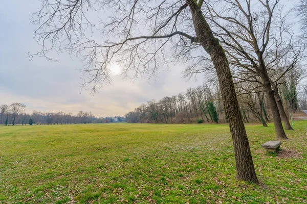 Monza Park Taki Çimlerin Ağaçların Manzarası Açık Bir Kış Gününde — Stok fotoğraf