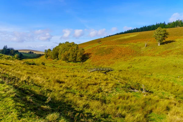 Kilátás Vidéki Táj Cairngorms Nemzeti Park Skócia Egyesült Királyság — Stock Fotó