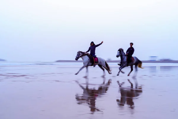モロッコのエサオイラ 2023年4月6日 青い時間 日没後 エサオイラ モガドール モロッコのビーチで疾走する馬やライダーのビュー — ストック写真