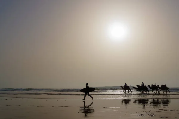サーファーのシルエットとラクダキャラバンの アゼウィラ モーガドール モロッコのビーチ — ストック写真