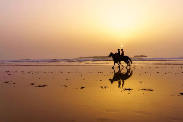 Widok Zachód Słońca Sylwetką Koni Jeźdźców Plaży Essaouira Mogador Maroko — Zdjęcie stockowe