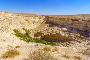 Ein Avdat Milli Parkı Kanyonu 'nun üst manzarası, Güney İsrail' deki Negev Çölü 'nde bir vaha.