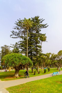 El Jadida, Fas - 08 Nisan 2023: Yerel halk ve ziyaretçilerle birlikte Fas 'ın Atlantik kıyısındaki El Jadida' da Muhammed V Parkı manzarası