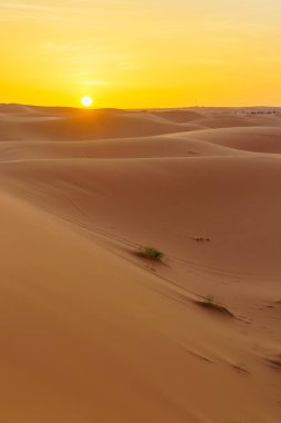 Merzouga 'da, Sahra Çölü' nde, Fas 'ta, kum tepelerinin üzerinde gün batımı manzarası.