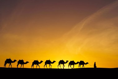 Sunrise silhouette of camels and handler, in the sand dunes of Merzouga, the Sahara Desert, Morocco clipart