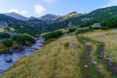 Bulgaristan 'ın güneybatısındaki Pirin Ulusal Parkı' nda dağ manzarası ve bir patika manzarası