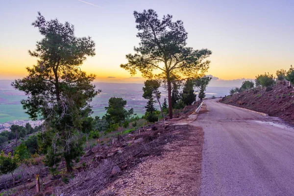 Solnedgang Udsigt Landskabet Jizreel Valley Med Fyrretræer Andre Træer Nordlige Royaltyfrie stock-fotos